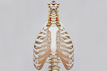 Spinal Decompression Spianl decompression in the Tarrant County, TX: Keller, Haltom City, Fort Worth, North Richland Hills, Watauga, Southlake, Colleyville, Hurst, Bedford, Euless, Grapevine, Richland Hills, Saginaw, Benbrook, White Settlement, Arlington, Denton County, TX: Roanoke, Lewisville, Dallas County, TX: Irving areas